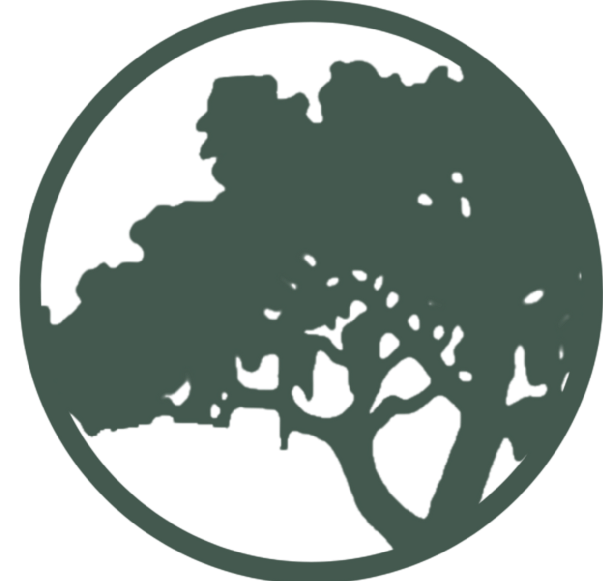 Riviera Favicon